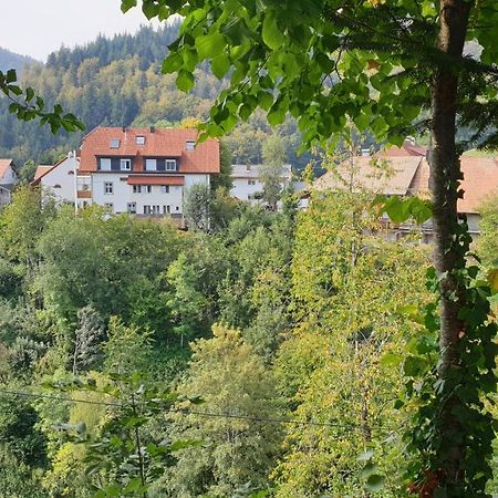 Ferienwohnung Auf Dem Bueckle Kleines Wiesental المظهر الخارجي الصورة