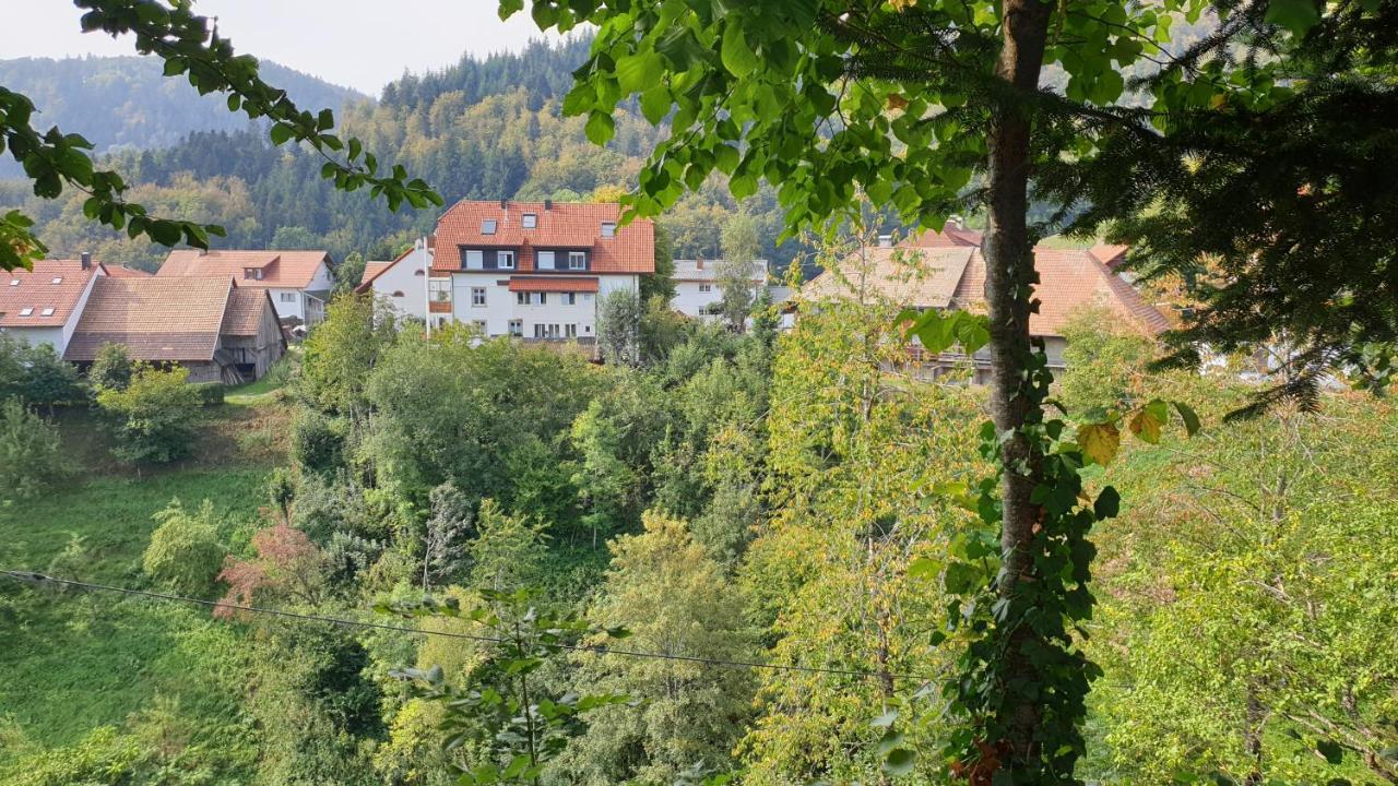 Ferienwohnung Auf Dem Bueckle Kleines Wiesental المظهر الخارجي الصورة