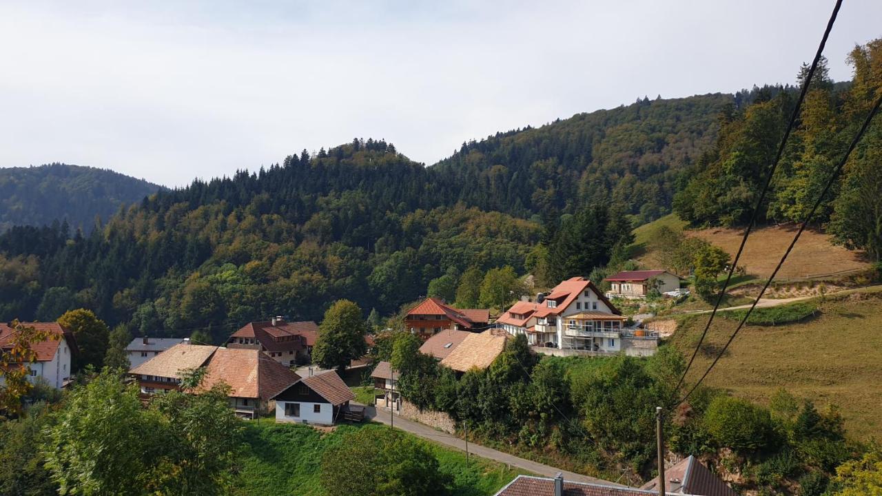 Ferienwohnung Auf Dem Bueckle Kleines Wiesental المظهر الخارجي الصورة